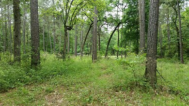 480 Pelican St, Magnolia, TX 77355 - photo 4