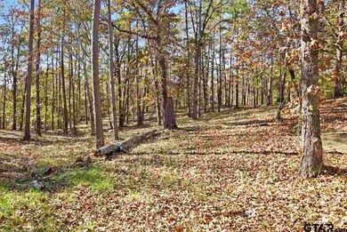 14652 County Road 2337, Tyler, TX 75707 - photo 5