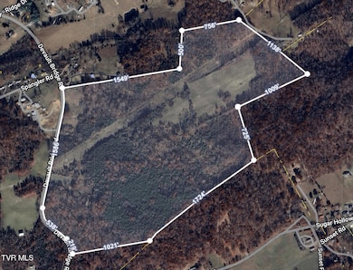 133 Acres Devault Bridge Rd, Piney Flats, TN 37686 - photo 5