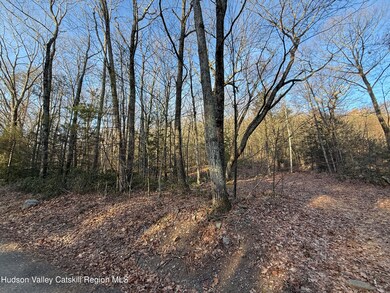 No Number Upper Cherrytown Rd, Rochester, NY 12446 - photo 5