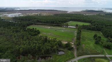 0 Toddville Rd unit 1002293242, Toddville, MD 21672 - photo 3