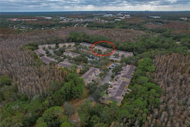 8145 Stone Leaf Ln, Tampa, FL 33647 - photo 6