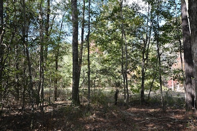 1685 N Margaret, Kirbyville, TX 75956 - photo 7