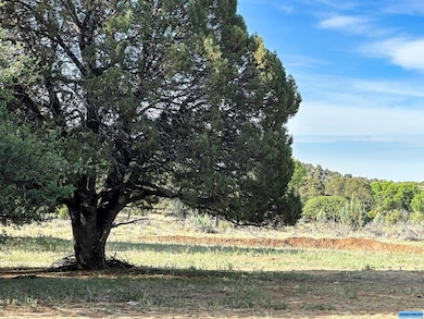 TBD Linda Dr, Silver City, NM 88061 - photo 3