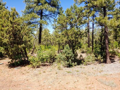 Tall Pines