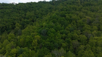 0 Cove Gap Rd unit Offering 2 1196059, Moravian Falls, NC 28654 - photo 6