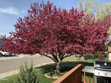 Gorgeous Tree with Landscaping