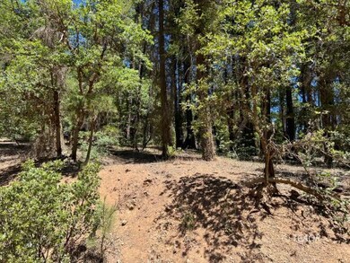 The Land