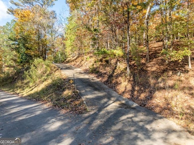 70 Fugue Dr unit 1226, Ellijay, GA 30540 - photo 4