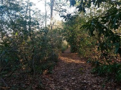 Amenities: Hiking Trails