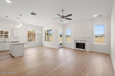 838 Quitman Ct W, Hernando, MS 38651 - photo 6