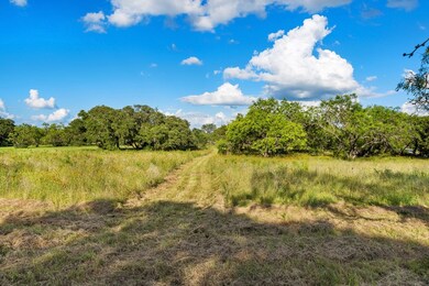 227 S Grand Cru Ln unit 9, Fredericksburg, TX 78624 - photo 7