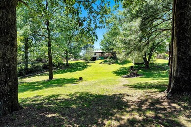 607 Saint Renee Dr, Paragould, AR 72450 - photo 3