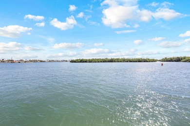 167 E Hilo St, Naples, FL 34113 (30)