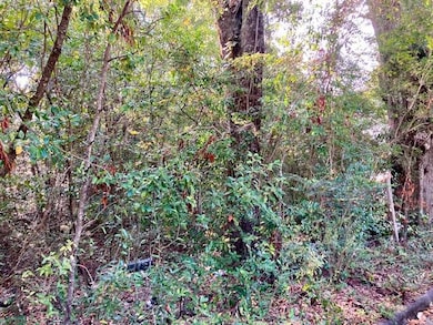 .47ac. Jordan St, Defuniak Springs, FL 32433 - photo 4