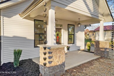 1116 Hiawassee Ave, Knoxville, TN 37917 - photo 4