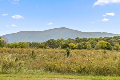 0 Georgia 286, Chatsworth, GA 30705 - photo 3