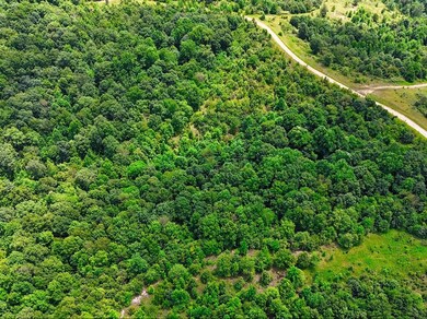 0 Shores Trail unit RTC3000397, Stewart, TN 37175 - photo 7