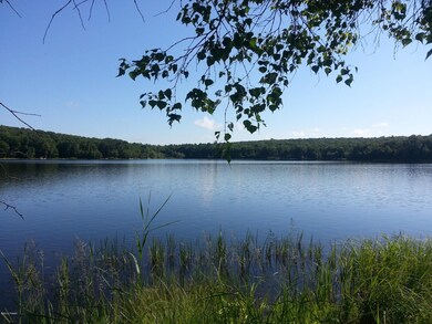 226 Fawn Lake Dr, Lackawaxen Township, PA 18428 - photo 7