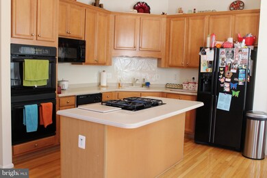 25160 Boomerang Terrace, Stone Ridge, VA 20105 - photo 4