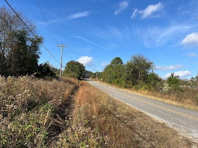 TBD US Highway 431 S, Eufaula, AL 36027 - photo 4