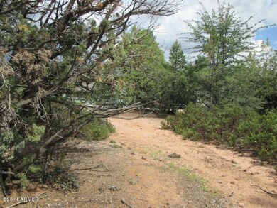 Photo 06