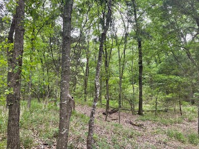 Lot 369 Polaris Dr, Corsicana, TX 75109 - photo 6