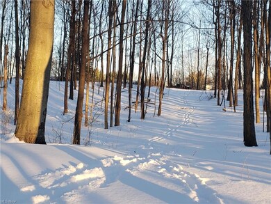 0 V L Greenwich Rd Jamison Rd unit 4347508, Lodi, OH 44254 - photo 2