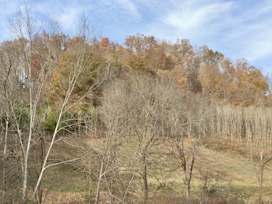 270 Higgins Rd, Woodbury, TN 37190 - photo 7