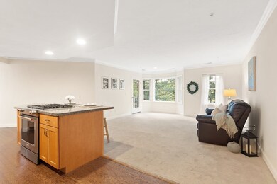 195 Salem St unit 2205, Wilmington, MA 01887 - photo 7