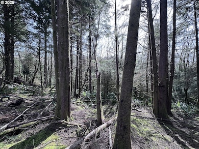 0 Greenleaf Rd, Arch Cape, OR 97102 - photo 6