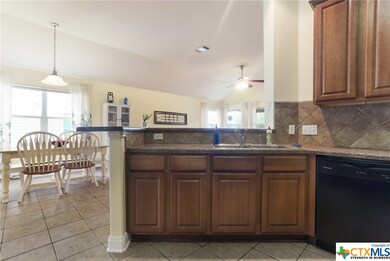 333 Mcgarity, Kyle, TX 78640 - photo 7