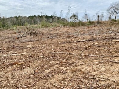 000 Maggie Johnson Rd, Tylertown, MS 39667 - photo 2