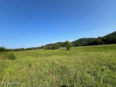 7662 Haws Rd unit 3, Knoxville, TN 37920 - photo 4