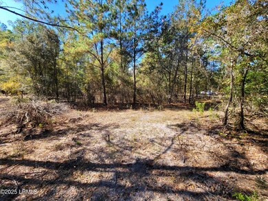 TBD Beavers Rd, Ridgeland, SC 29936 - photo 6