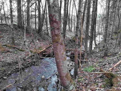 44 Collinswood Rd, Stewartstown, NH 03576 - photo 6