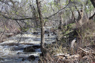 460 NE 4th St, Cedaredge, CO 81413 - photo 3