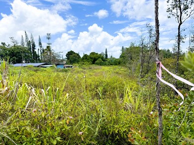 0 34th Ave unit 722010, Keaau, HI 96749 - photo 3