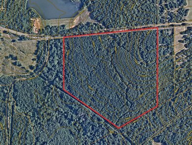 TBD Cr 262, Tyler, TX 75707 - photo 2