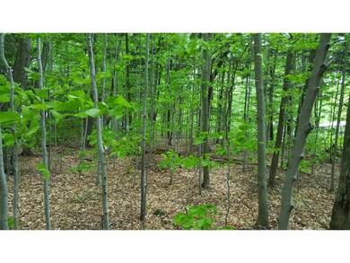 30 La Brecque St, Lincoln, NH 03251 - photo 5