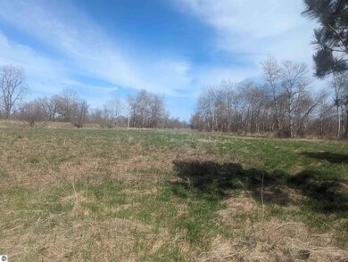 N/A Turner Rd, Tawas City, MI 48763 - photo 7