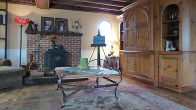 Wood Burning Stove