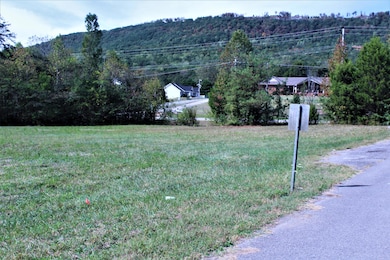 Lot 1b- Photo