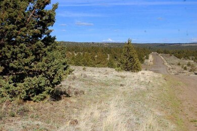 0 Tl 3200 Thomas Rd unit 24807815, Prineville, OR 97754 - photo 6