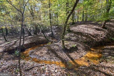 1321 Shepherd Rd, Madison, GA 30650 - photo 4