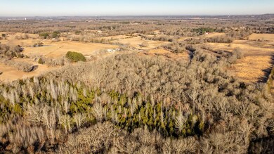 Tract 8 Rooster Rd, Conway, AR 72032 - photo 6