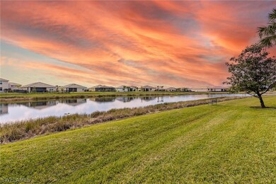 Backyard views