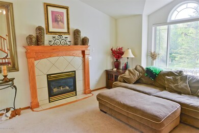 Living room fireplace
