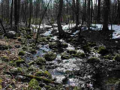 0 Stone Church Rd unit 201315957, Milton, NY 12020 - photo 2