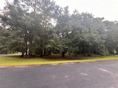 536 N Marsh Hen Rd NE, Townsend, GA 31331 - photo 6